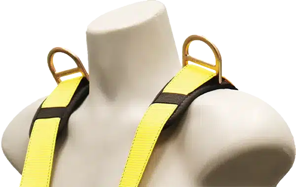 French Creek D Shoulder Positioning D-Rings